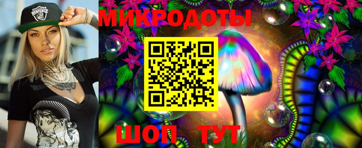 Дзержинск  продажа наркотиков  Вход с VPN  Псилоцибиновые грибы мицелий 