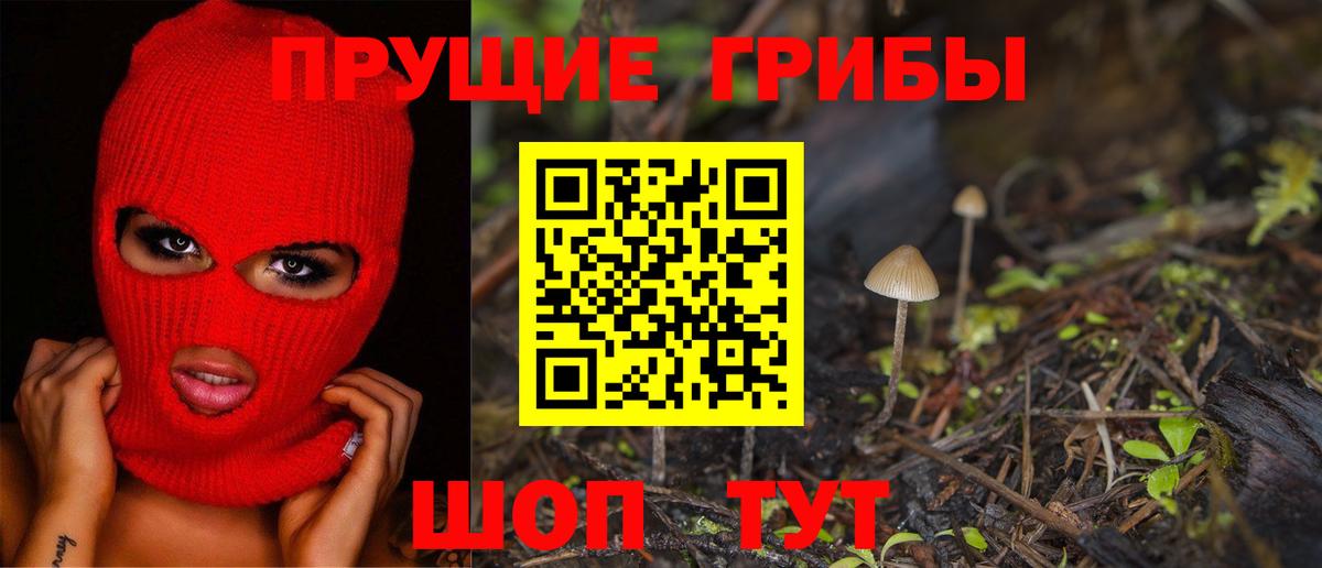 Псилоцибиновые грибы Cubensis Дзержинск